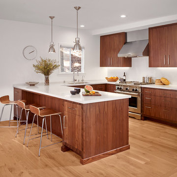 Contemporary Kitchen