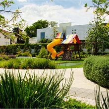 Pet-friendly gardens