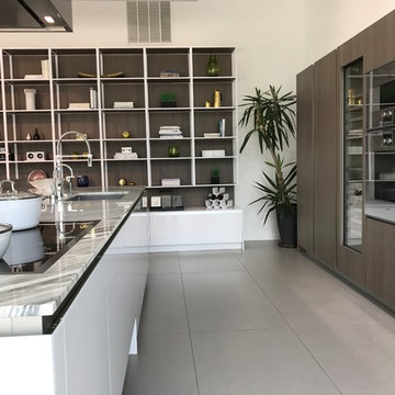 Contemporary kitchen in High Gloss Glass and Mink Elm Wood