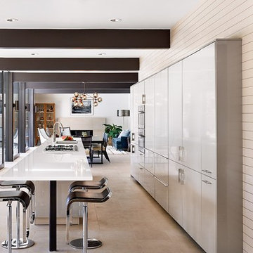 Champagne Metallic | Arete Kitchens