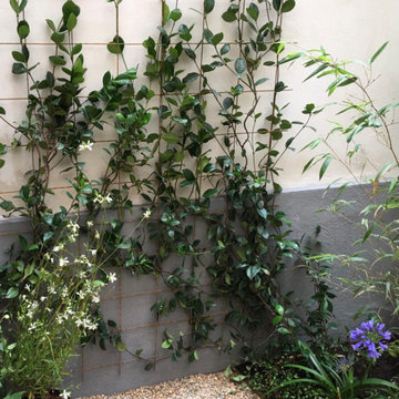 Aménagement paysager d'un patio à Paris