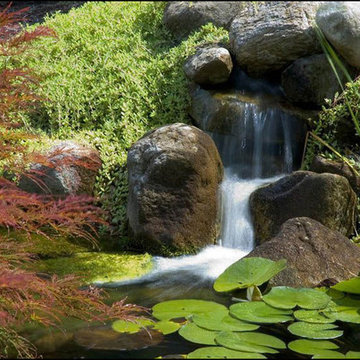 POOL & WATER FEATURES