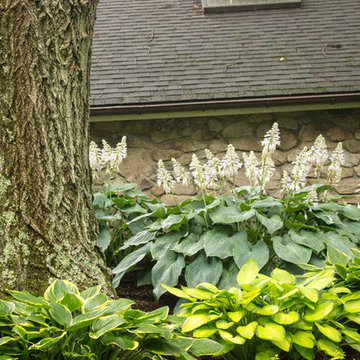 Renovation