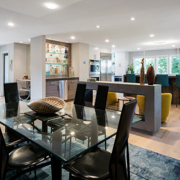 Contemporary Open Concept