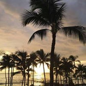David Hayes's photo
