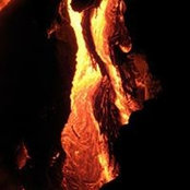 Nellie McAdams's photo