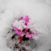 FRANCOISE RODIERE's photo