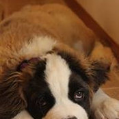 Jennifer Riis's photo