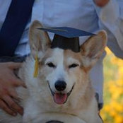 James Nguyen's photo