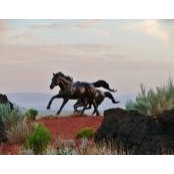Becky Madsen's photo