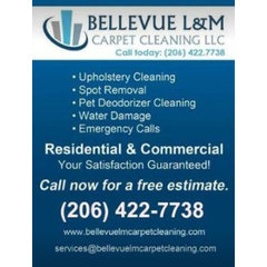 Bellevue L&M Carpet Cleaning
