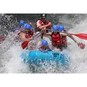 Bryan Kavanagh's photo