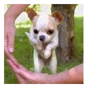 Caryn Ludwig's photo
