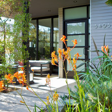 FrontYard ideas