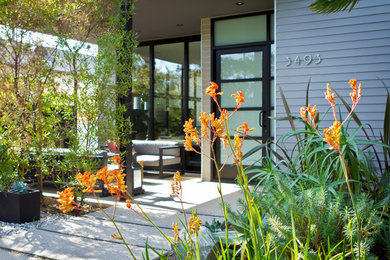 Photo of a small contemporary drought-tolerant front yard concrete paver walkway in Los Angeles.