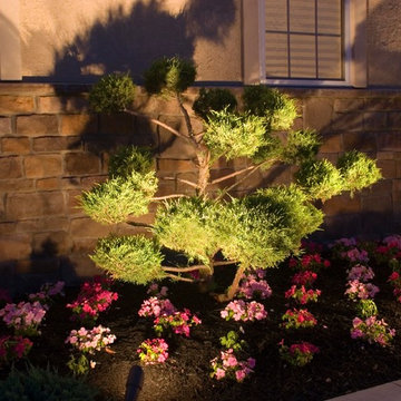 Affordable Lawn Sprinkler and Lighting's Artistry around Northern Virginia