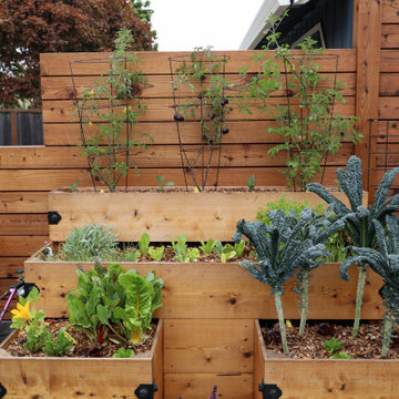 Santa Cruz Sustainable