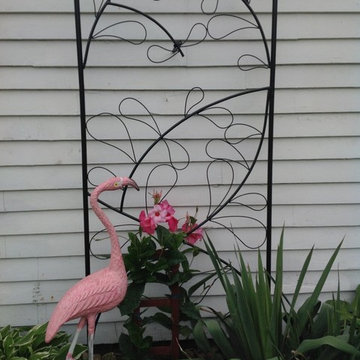 Rock Rich- Flamingo with trellis