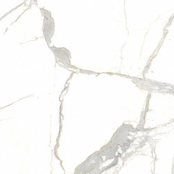 Calacatta Michelangelo Naturali Collection - Kitchen Countertops