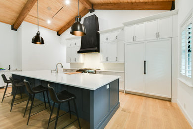 Example of a transitional kitchen design in Miami