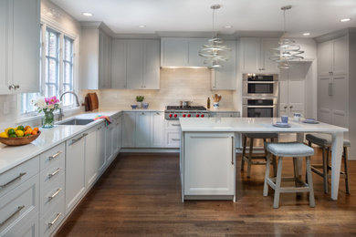 Example of a minimalist kitchen design in DC Metro