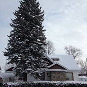Annie Tremblay's photo
