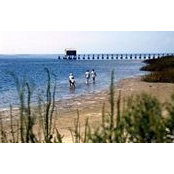 Michelle Lee's photo