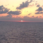 Shellie Freeland's photo
