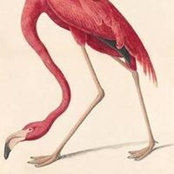 Lucy Randalls foto