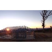 Sam Walton's photo