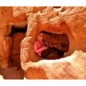 نرمين دسوقي's photo