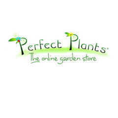 Perfect Plants (Sussex) Ltd