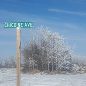 Mitch Chicoines foto