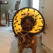 Connor Smith's photo
