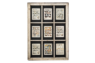 Ecole Series