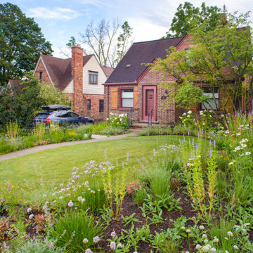 Neglected Landscape Turns into Pollinator Paradise