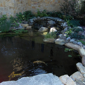 Koi Pond Pre Growth