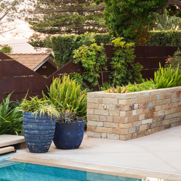 Award-Winning Xeriscape