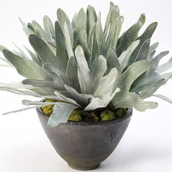 Stag Horn Fern - Artificial Flower Arrangements
