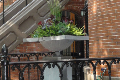 Photo of a modern landscaping in Boston.