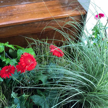 terrasse zen et cosy Bidart