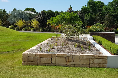 Contemporary garden in Brisbane.