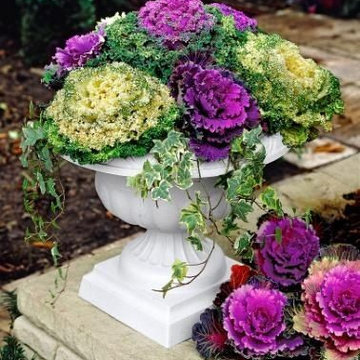 Potted Gardens