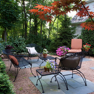 シカゴの小さいトランジショナルスタイルのおしゃれな裏庭のテラス (真砂土舗装、日よけなし) の写真