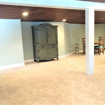 FAP Basement Update
