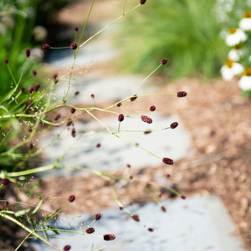 Mid-Century Perennial Garden - Racine