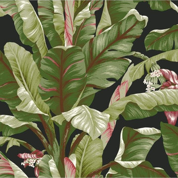 Tropical Wallpaper