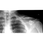 Damon Nelson's photo