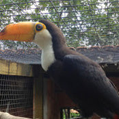 Peta Compton's photo