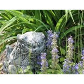 Janet Adkins's photo
